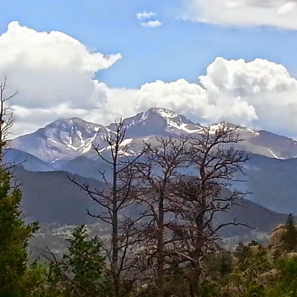 Meet your Posher, Jason - Picture 1 of 1